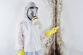 Best Asbestos and Lead Testing During Mold Inspection  in Stockton, MO